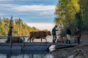 First Cow, IFFR 2021